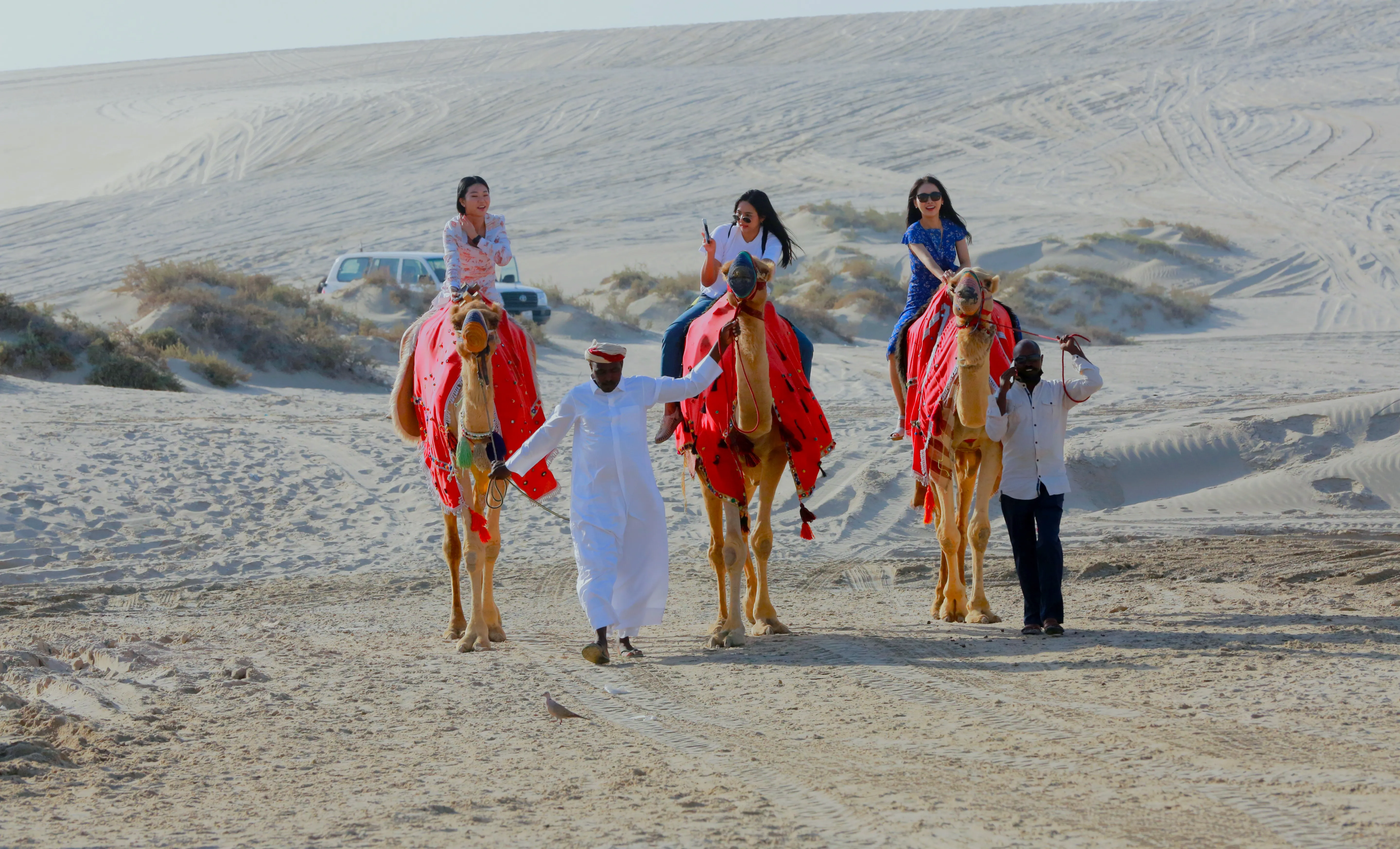 Golden desert dunes at sunset in Qatar - Desert Rangers safari experience